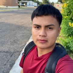 Ledin FIgueroa