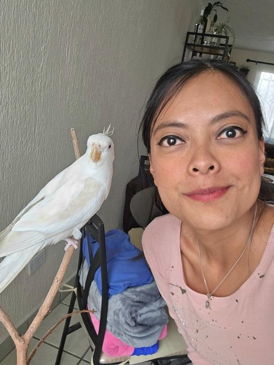 Nayeli Villanueva Enciso