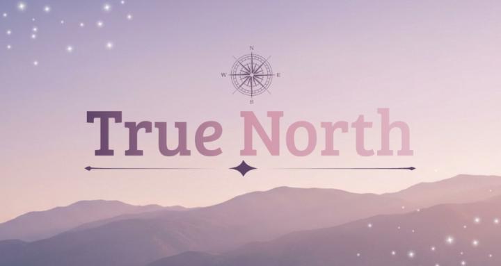 True North