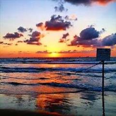 ערן רוזנברג