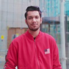 Arnauv Kaushik