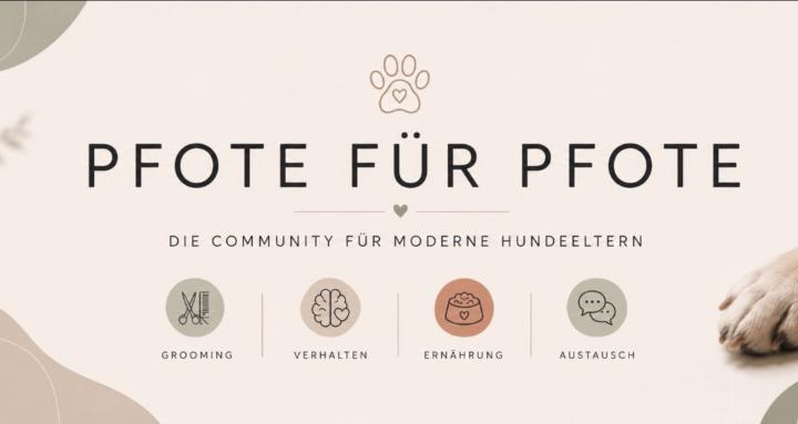 Pfote für Pfote Hundeclub