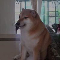 Alfredo Chara naveros