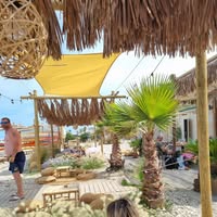 Francesca Campanelli