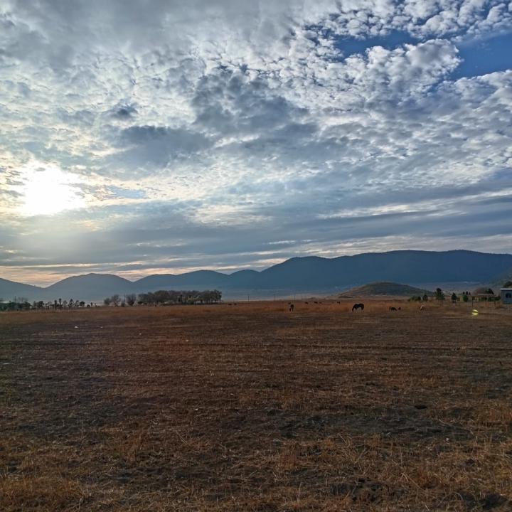 Raúl Mateo Medina Herrera