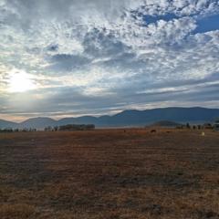 Raúl Mateo Medina Herrera