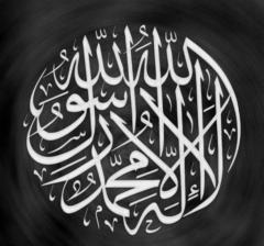 Amr Ibrahim