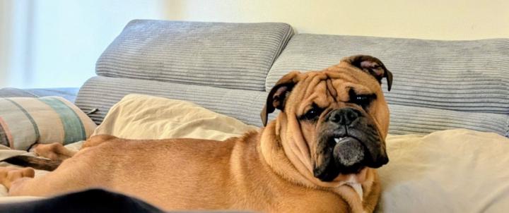 Diana Gonzalez Fernandez