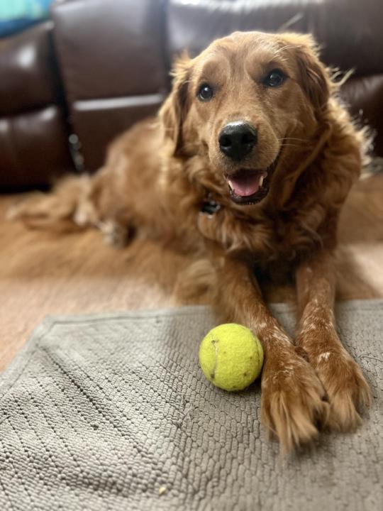 Thank you for inviting me!