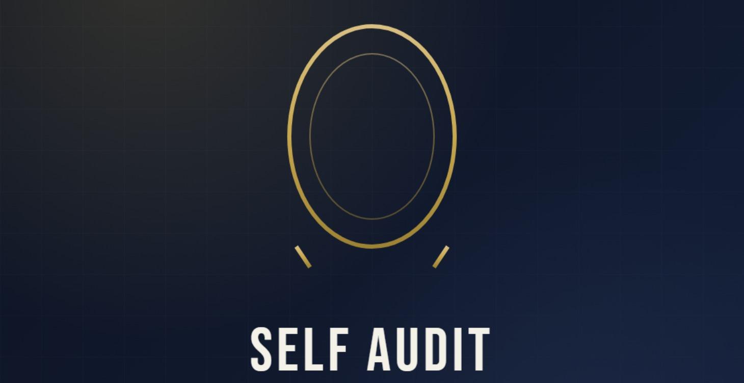 Pillar 1: Self Audit and Mission Discovery