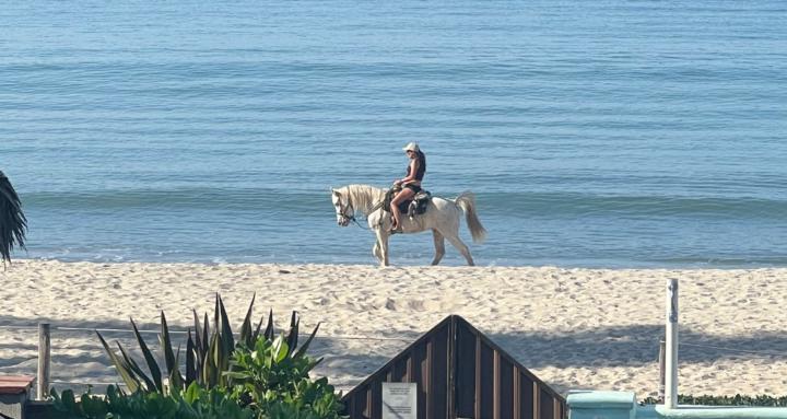 Wellness Freedom Club