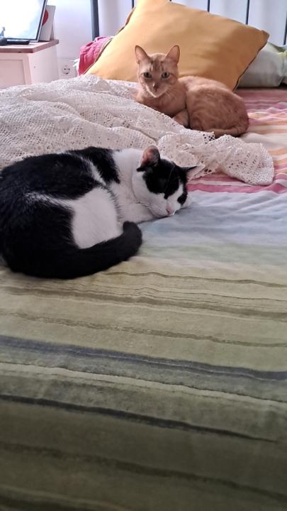 Estibaliz Arroyo Reig