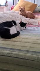 Estibaliz Arroyo Reig