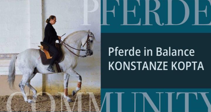 Pferde in Balance - by KK