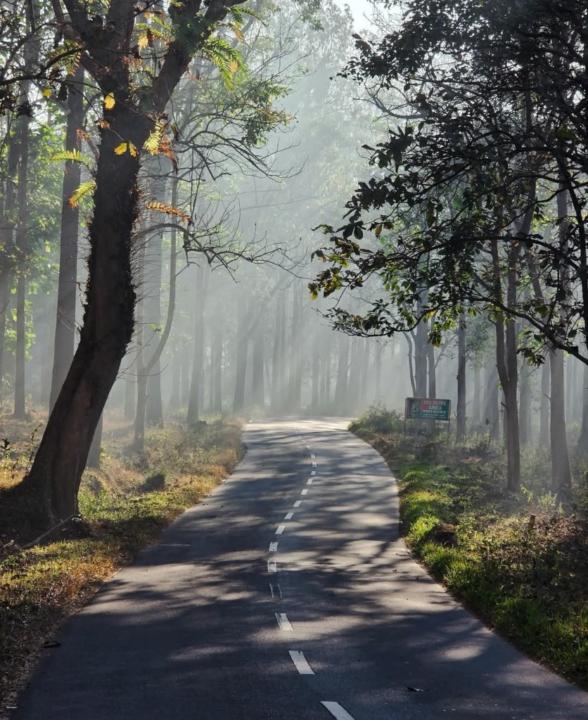 Pratap Roy
