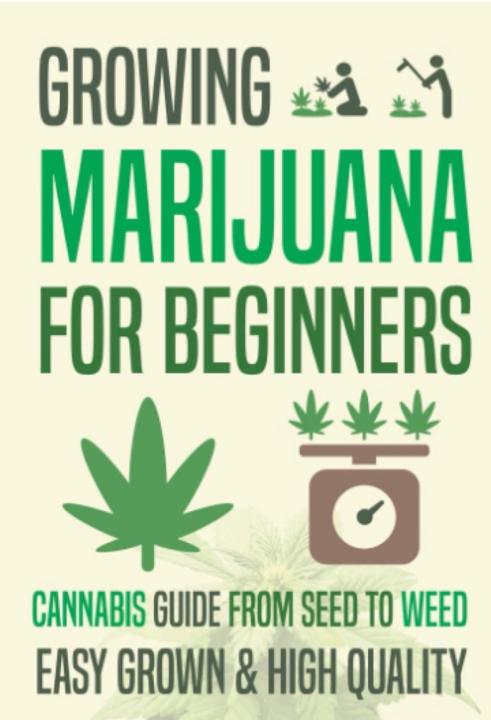 Sesshoumaru Tamashii