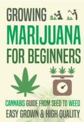 Sesshoumaru Tamashii