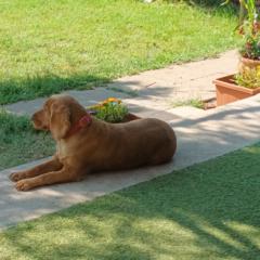 Gabriella Szabó Kürthy