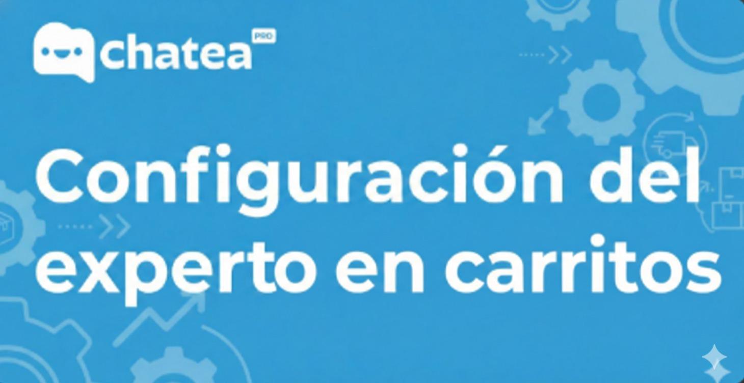 Experto en Carritos abandonados