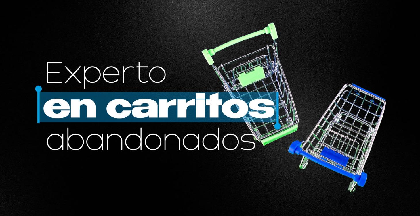 Experto en Carritos abandonados | Chatea PRO