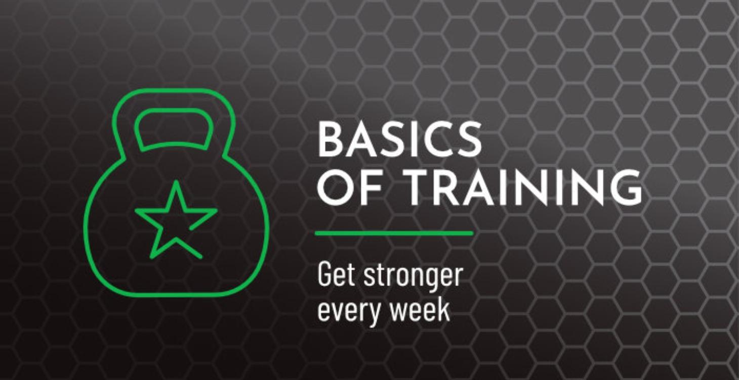 Basics of Training