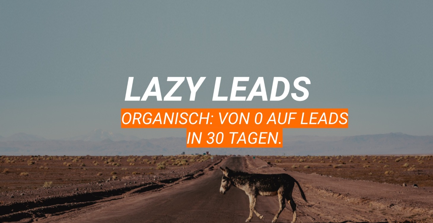 Lazy Leads Organisch