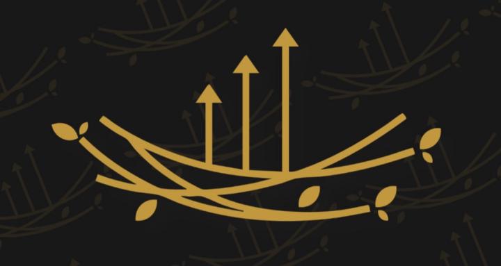 NEST Financial Group