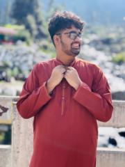 Syed Hasnain Ali Shah