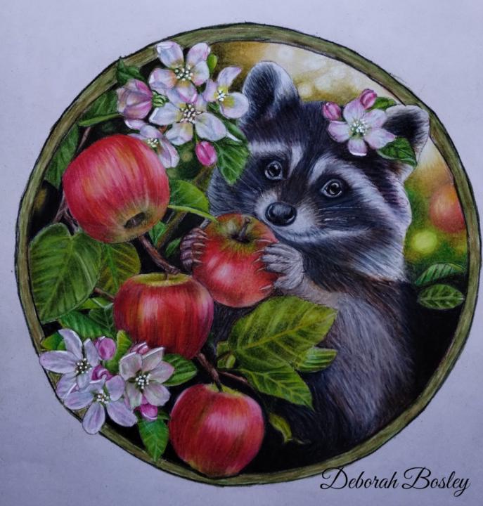 Deborah Bosley