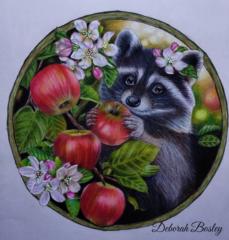 Deborah Bosley