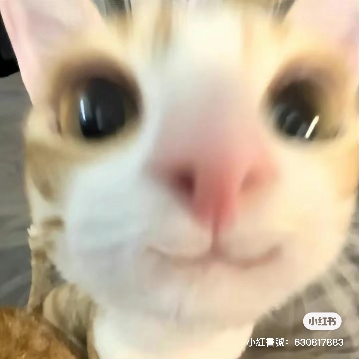 禹瑄 陳