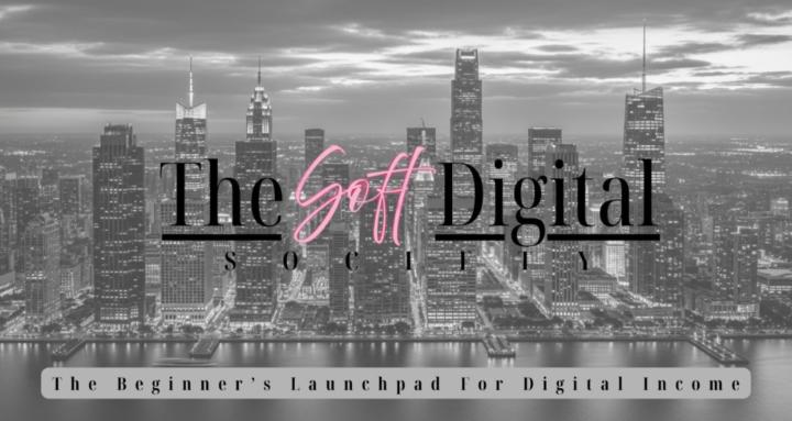 The Soft Digital Society