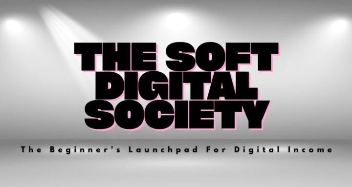 The Soft Digital Society