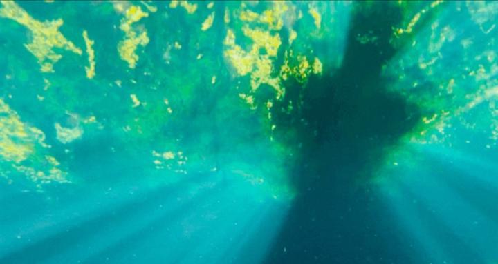 Your Inner Wellspring