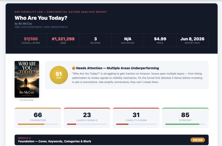 This is what a KDP Visibility Report can look like