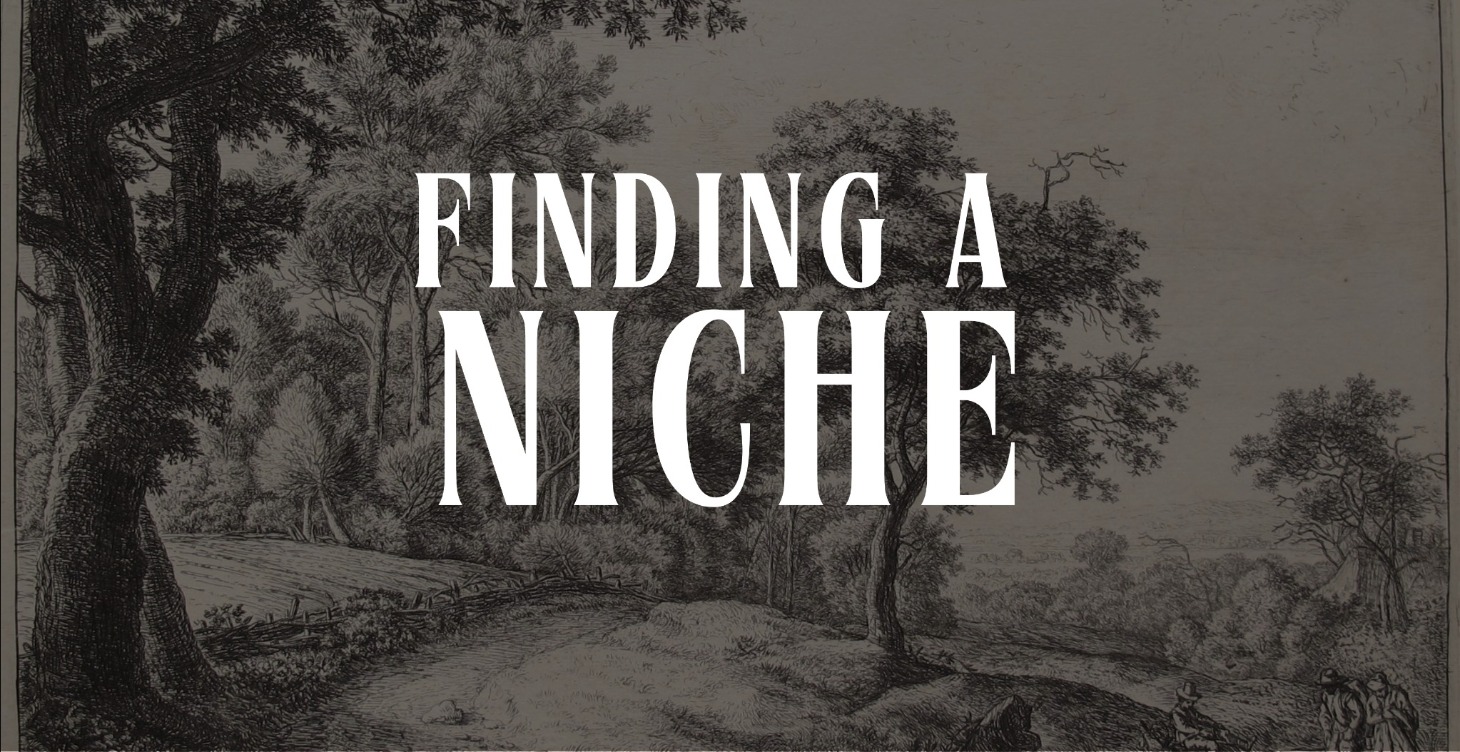 Finding A Niche