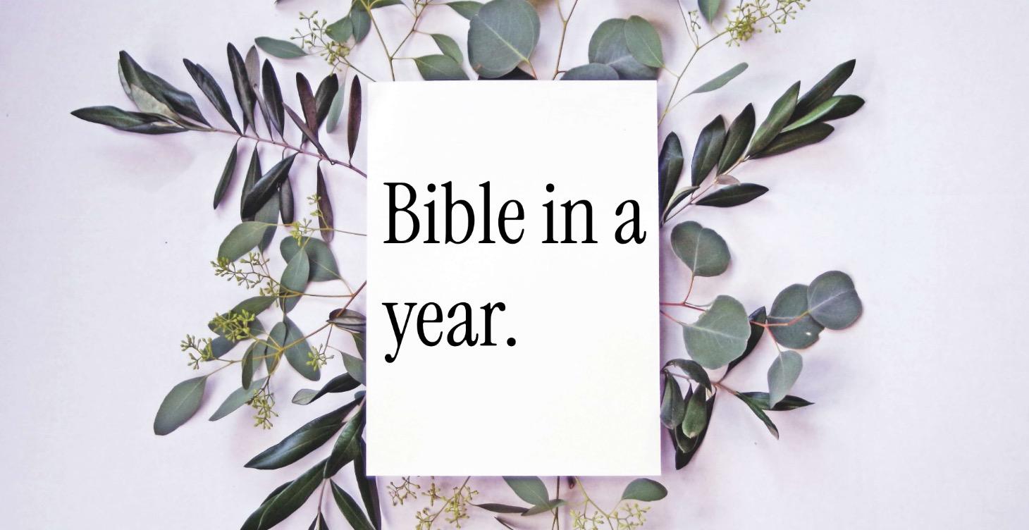 365 Days in God’s Word