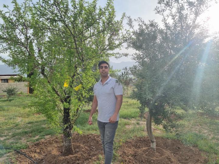 Ehsan Negahdarhaghighi