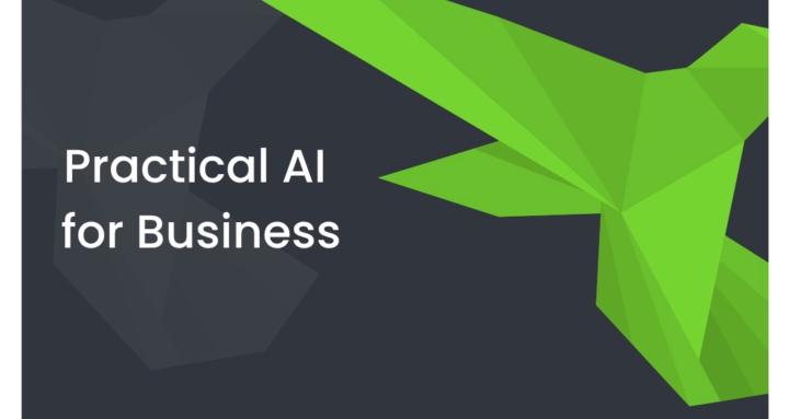 Practical AI For Business Elry