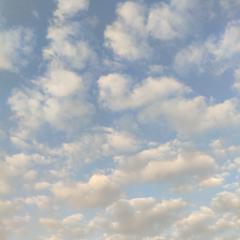 ثريا الحكيمي