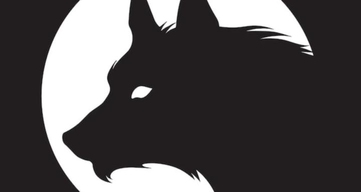 WretchedWrathfulWolves: schizo