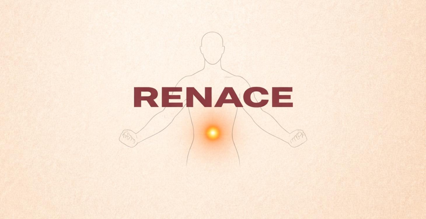 RENACE 2.
