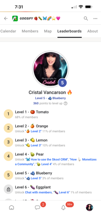 Goosify- Member Review 