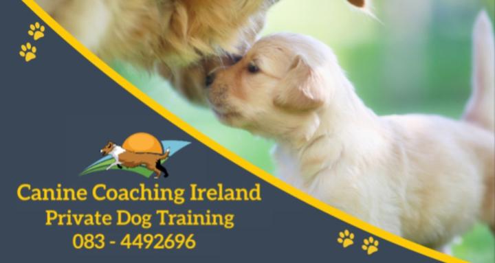 Canine Coaching Ireland