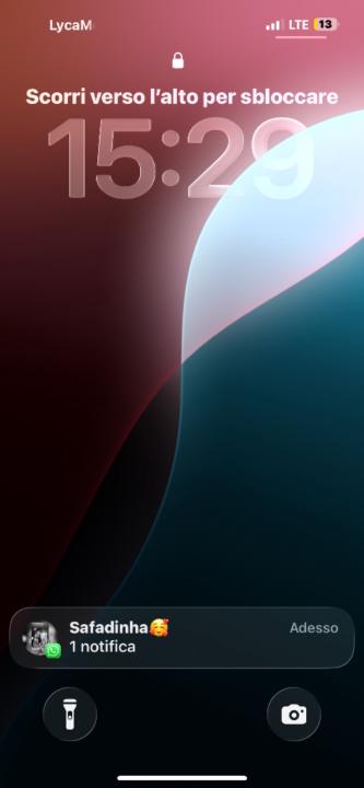 Wiglaff Berlese Soares Cidrone