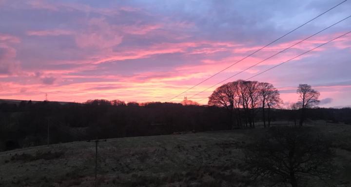 The Calm Mind Consultant