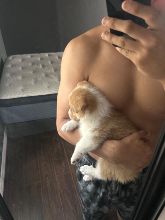 Nathan Rodriguez