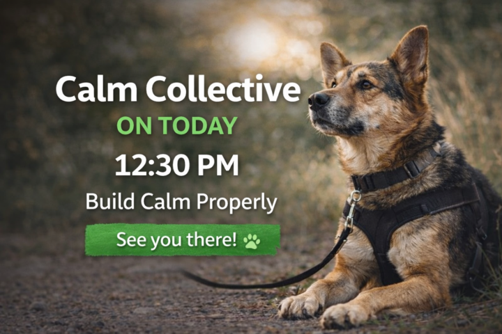 Calm Collective is on tomorrow (Wednesday) at 12:30 🔥
