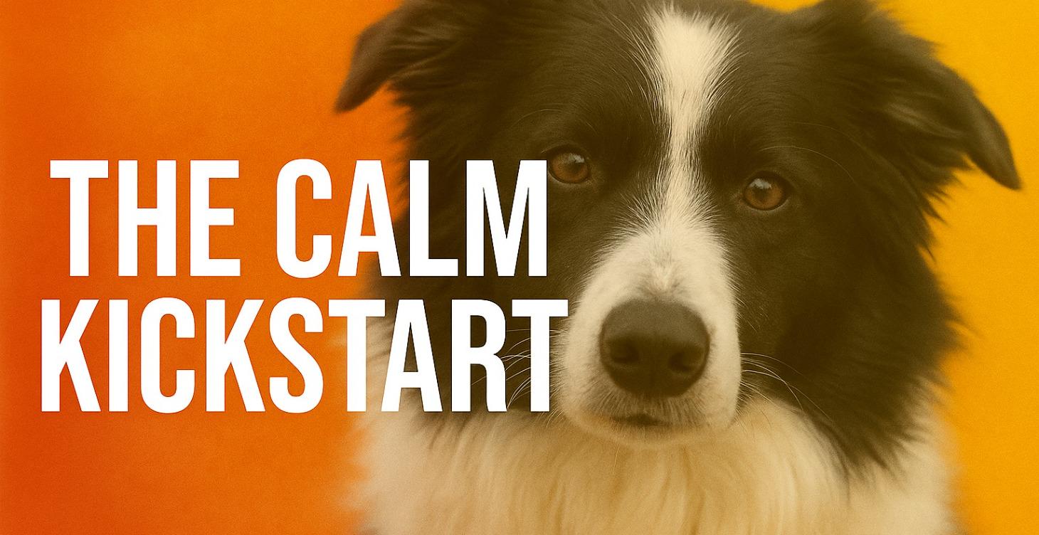 The Calm Kickstart 🐾