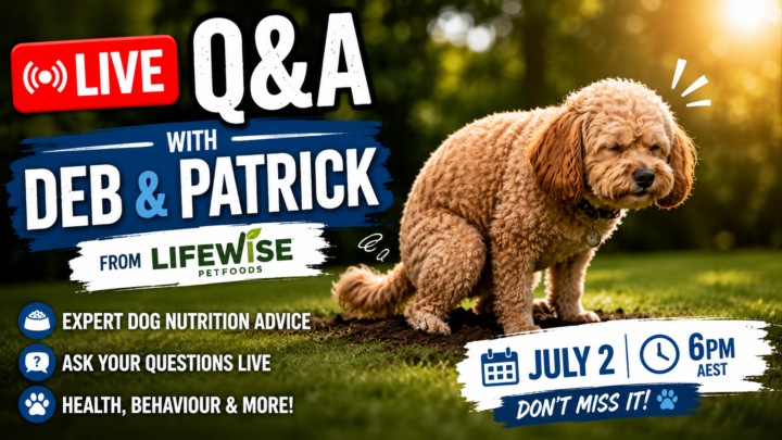 🥩🐾 LIVE Q&A WITH DEB & PATRICK FROM LIFEWISE PET FOODS 🐾🥩